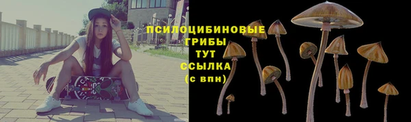 а пвп мука Кулебаки